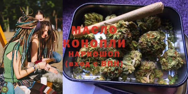 стафф Ельня