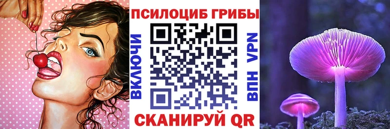 что такое   маркетплейс формула  Псилоцибиновые грибы Magic Shrooms  Фёдоровский 