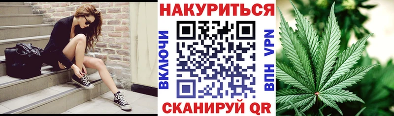 Шишки марихуана SATIVA & INDICA  где можно купить наркотик  Фёдоровский 